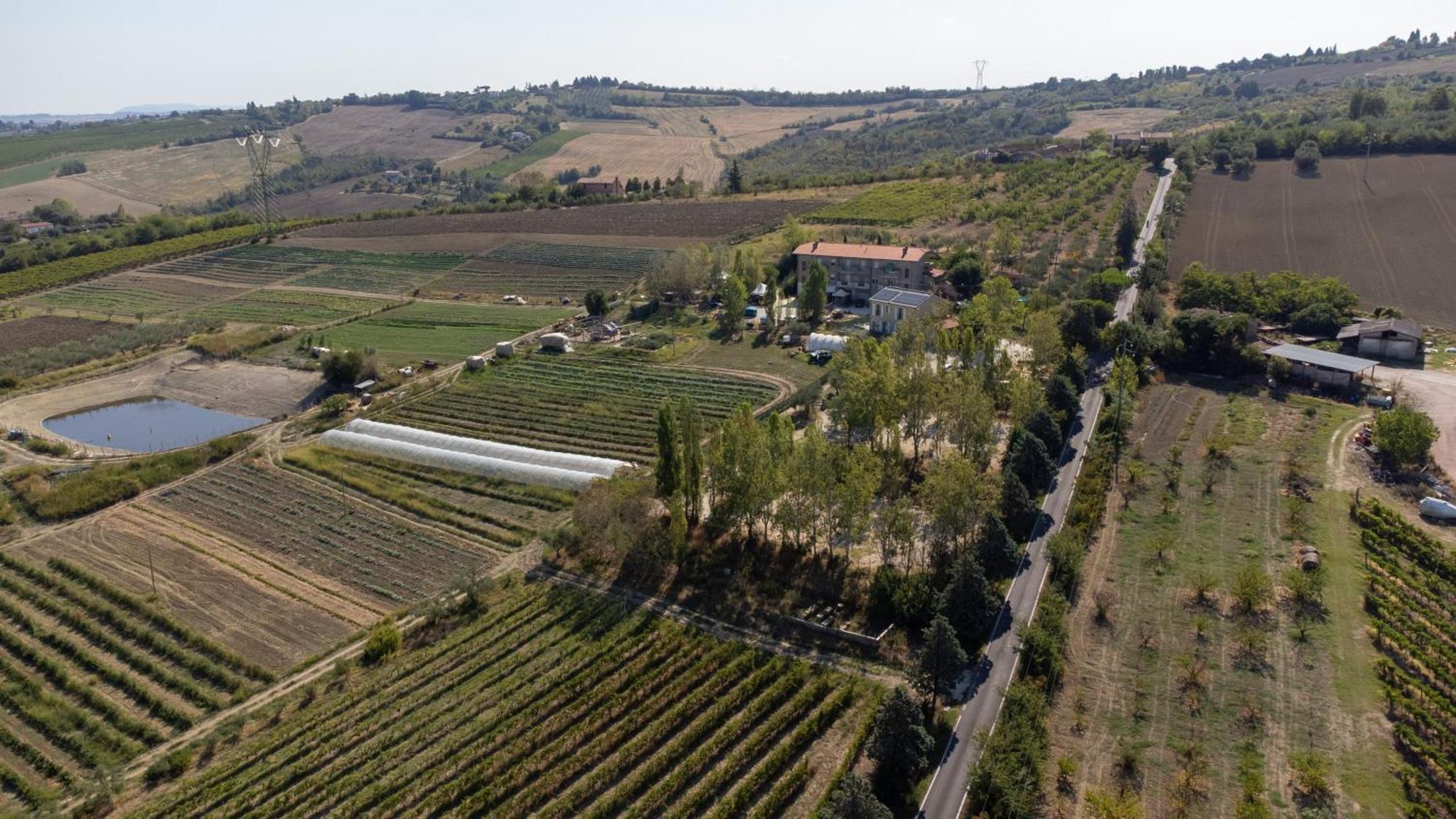 דירות Mulazzano Bio Fattoria Mula D'Oro - Biofattoriamuladoro It - Organic Food, Nature & Relax מראה חיצוני תמונה