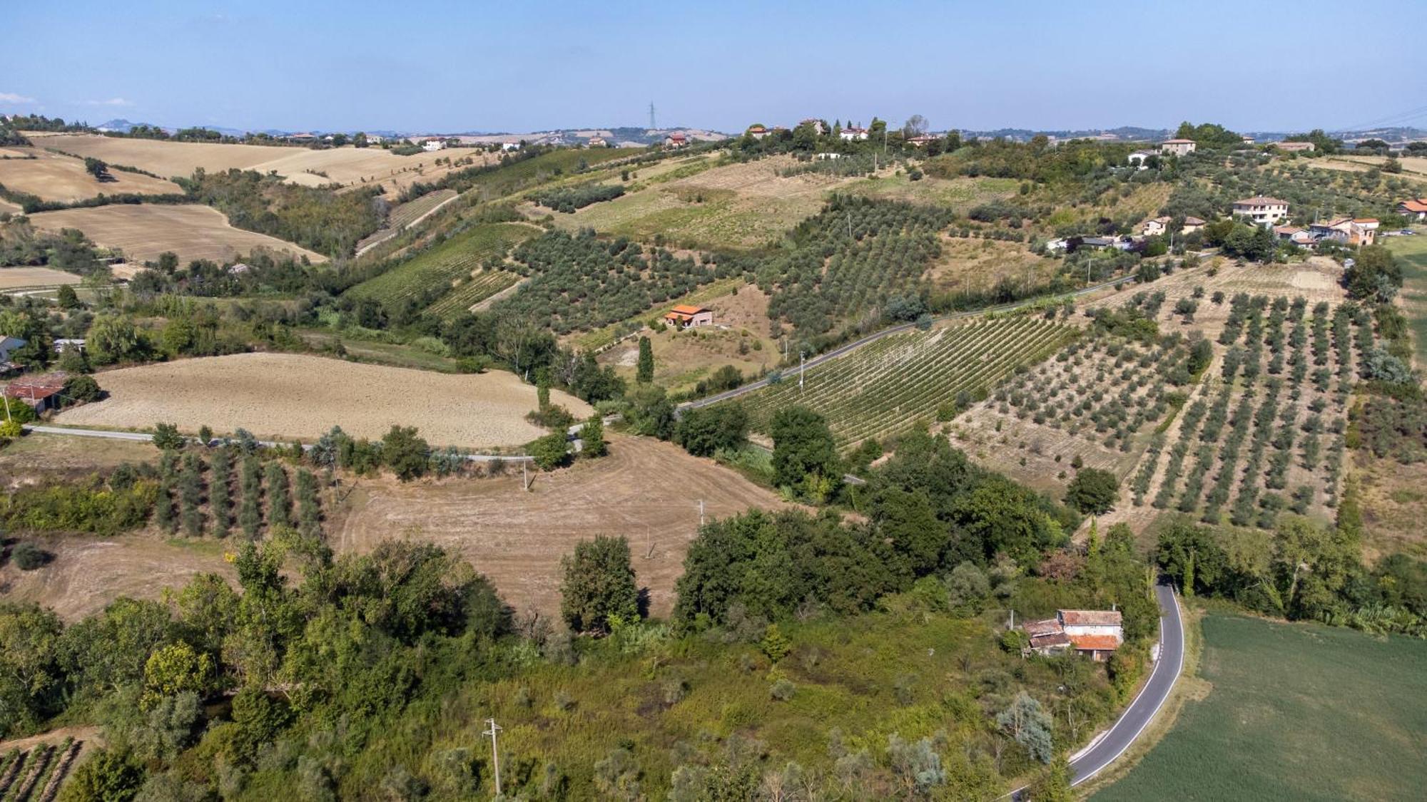 דירות Mulazzano Bio Fattoria Mula D'Oro - Biofattoriamuladoro It - Organic Food, Nature & Relax מראה חיצוני תמונה